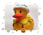 Bubbuls Ltd. Winter Edition