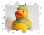 Winter-Ente