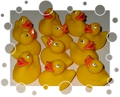 Ernie's Quietscheentchen