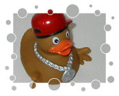 Hip Hop Duck