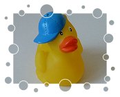 Ente mit Schildkappe