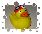 Schwimmer-Ente