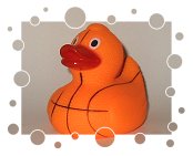Basketball-Ente