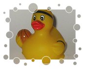 Basketball-Ente