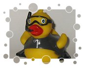 Diver-Ente