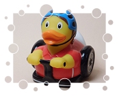 Segway-Ente