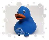 Schwenninger Wild Wings