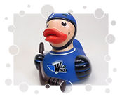 Schwenninger Wild Wings