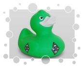 VfL Borussia Mönchengladbach