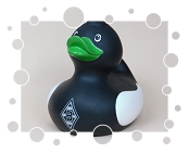 VfL Borussia Mönchengladbach