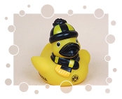 BVB Borussia Dortmund