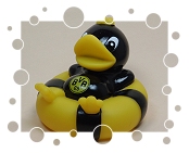 BVB Borussia Dortmund