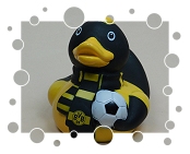 BVB Borussia Dortmund