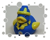 Eintracht Braunschweig