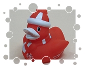 Rot-Weiß Essen e.V.