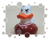 Rot-Weiß Essen e.V.