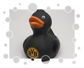 BVB Borussia Dortmund