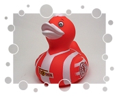 1. FC Union Berlin
