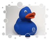 SV Stuttgarter Kickers