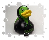 VfL Borussia Mönchengladbach