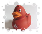 1. FC Kaiserslautern