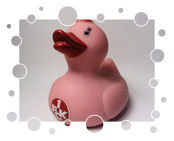 1. FC Kaiserslautern