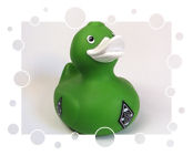 Borussia Mönchengladbach