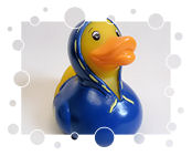 Eintracht Braunschweig