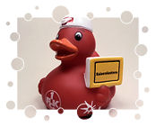 1. FC Kaiserslautern