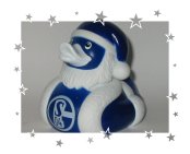 FC Schalke 04
