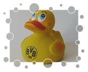 BVB Borussia Dortmund