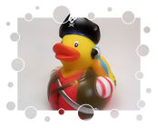 Duck Pirate with Parrot